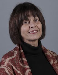 Luísa Meireles